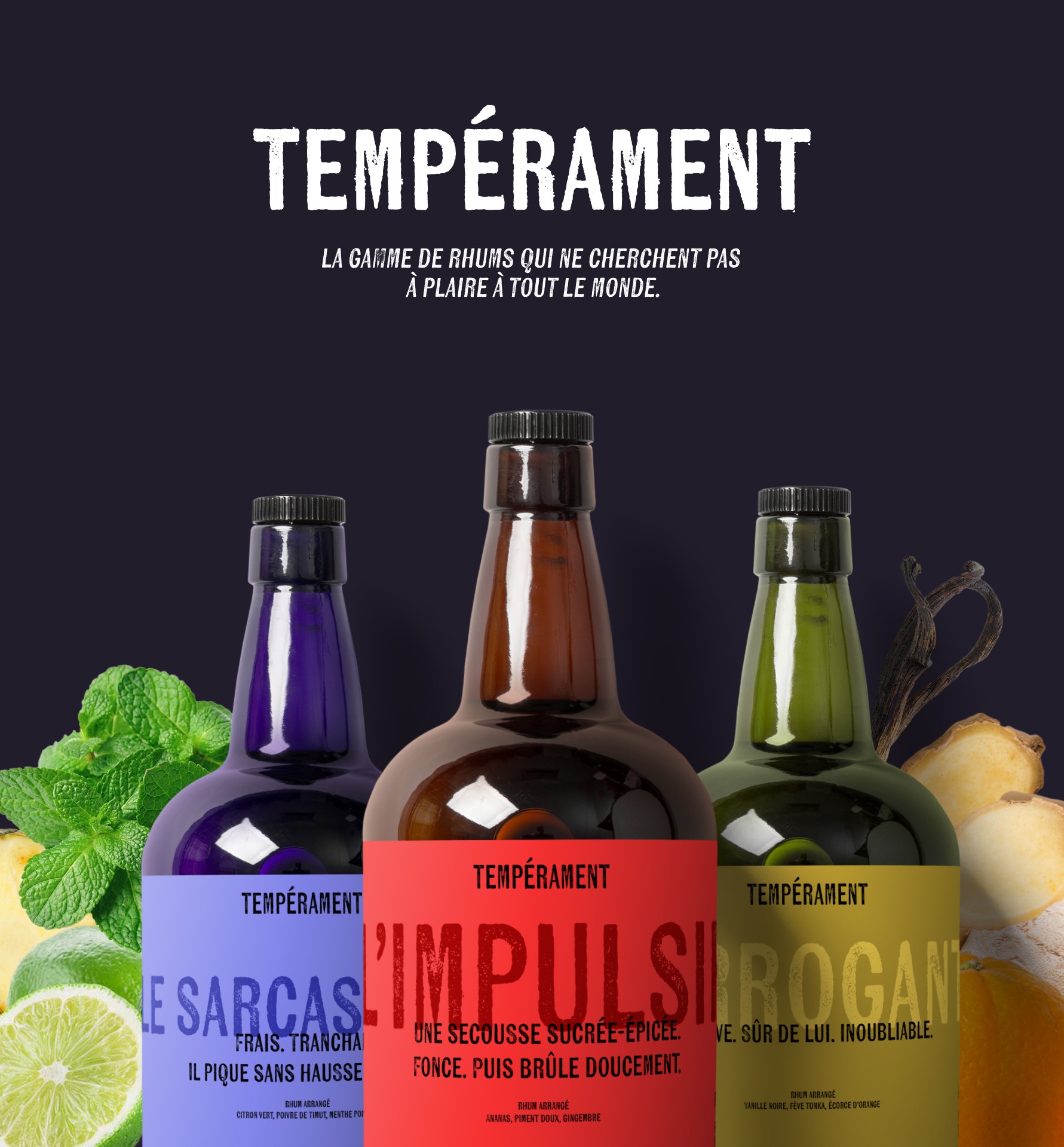 Gamme complète Tempérament — les trois rhums arrangés L'Arrogant, Le Sarcastique et L'Impulsif sur fond sombre avec leurs ingrédients caractéristiques, système packaging cohérent et différencié, branding spiritueux Tartelette Concept