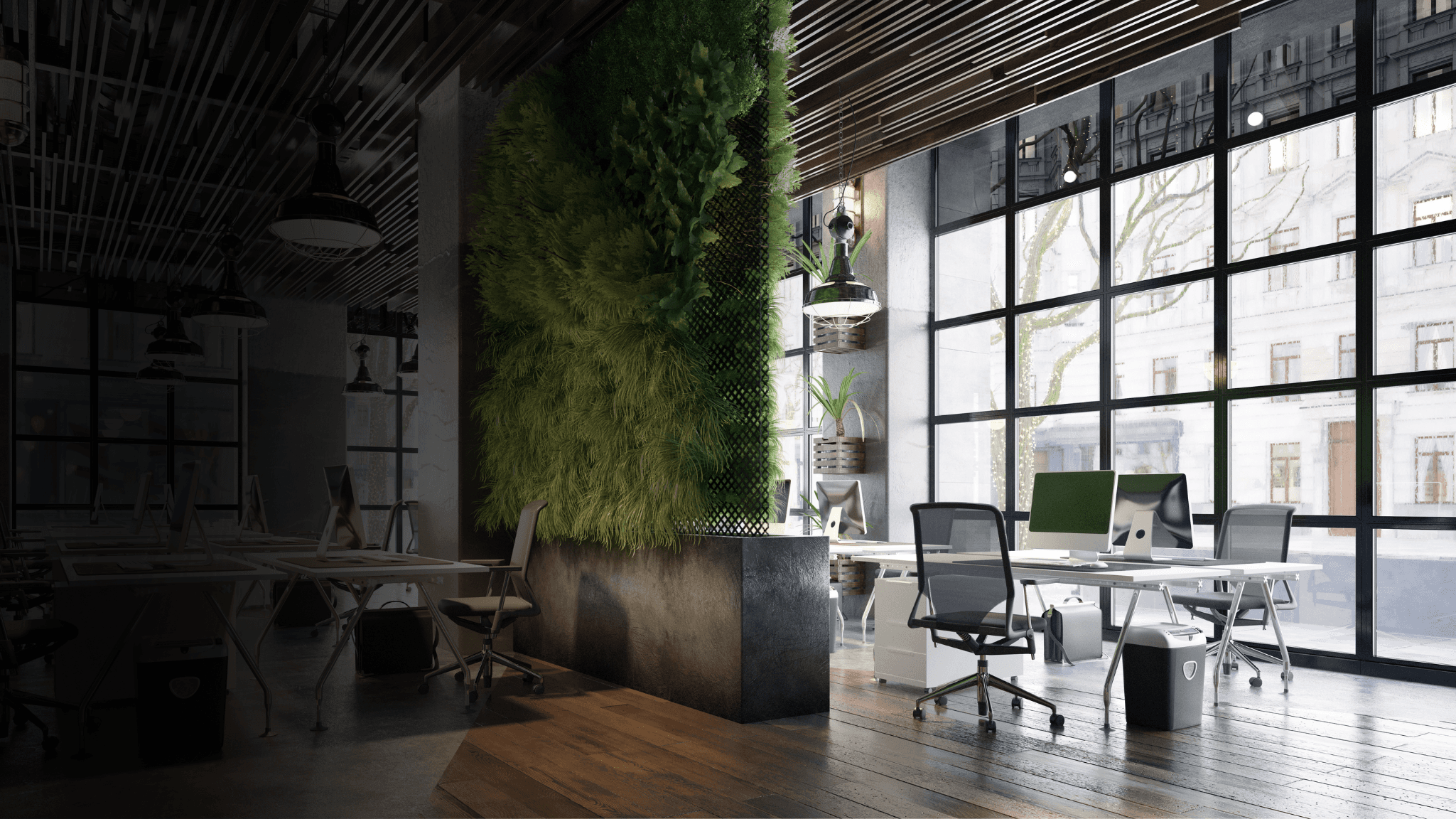 Dynamic picture of a cyclist riding downhill