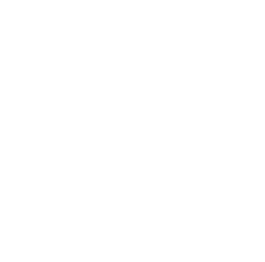 Audio Icon