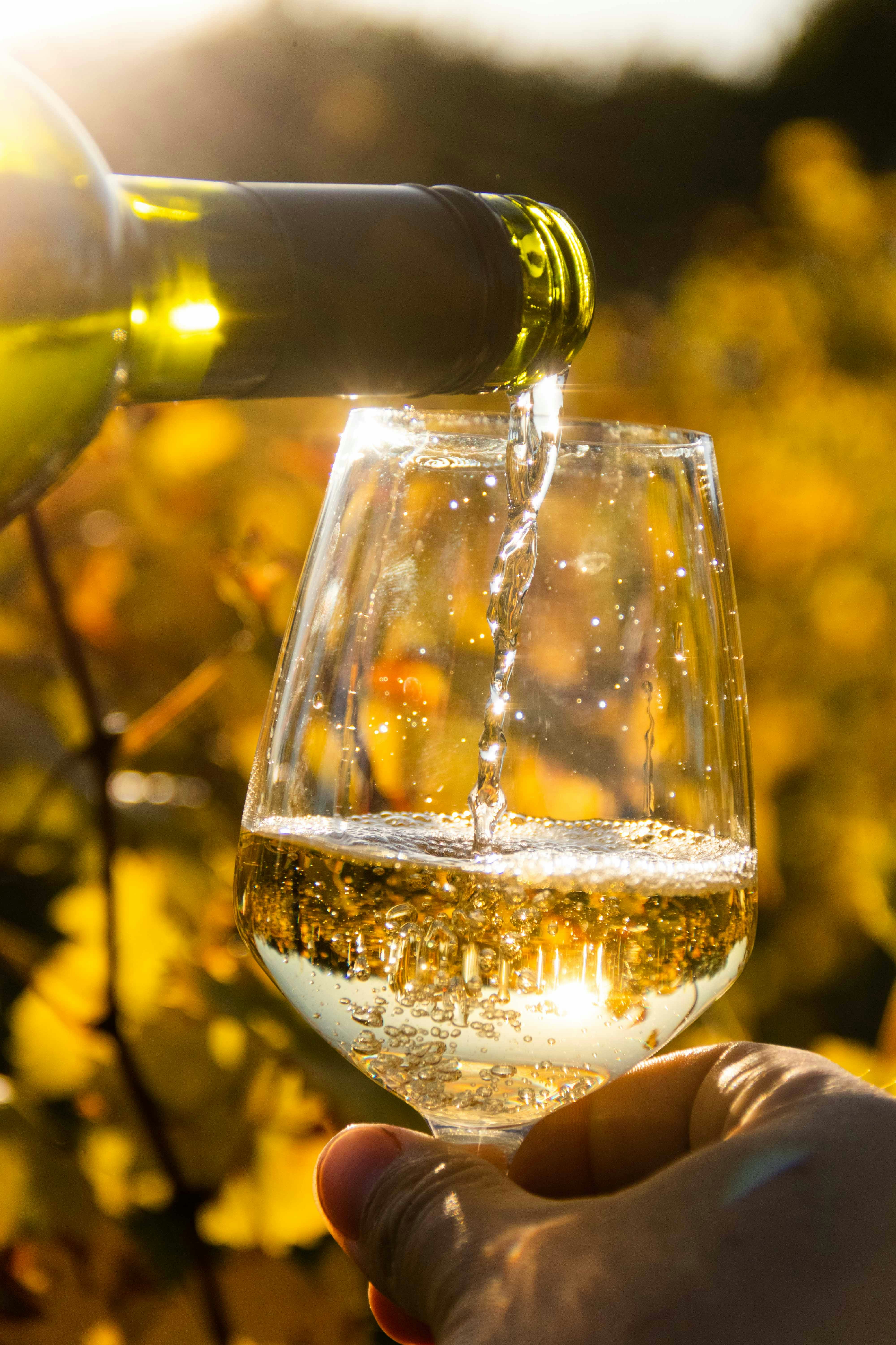 Sommelier servant du vin – recrutement expert hôtellerie luxe et palace