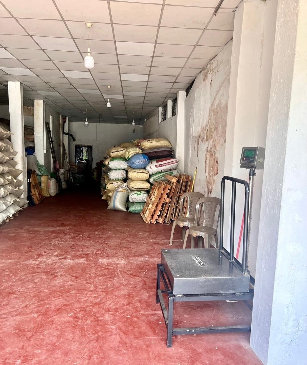 people working on farm