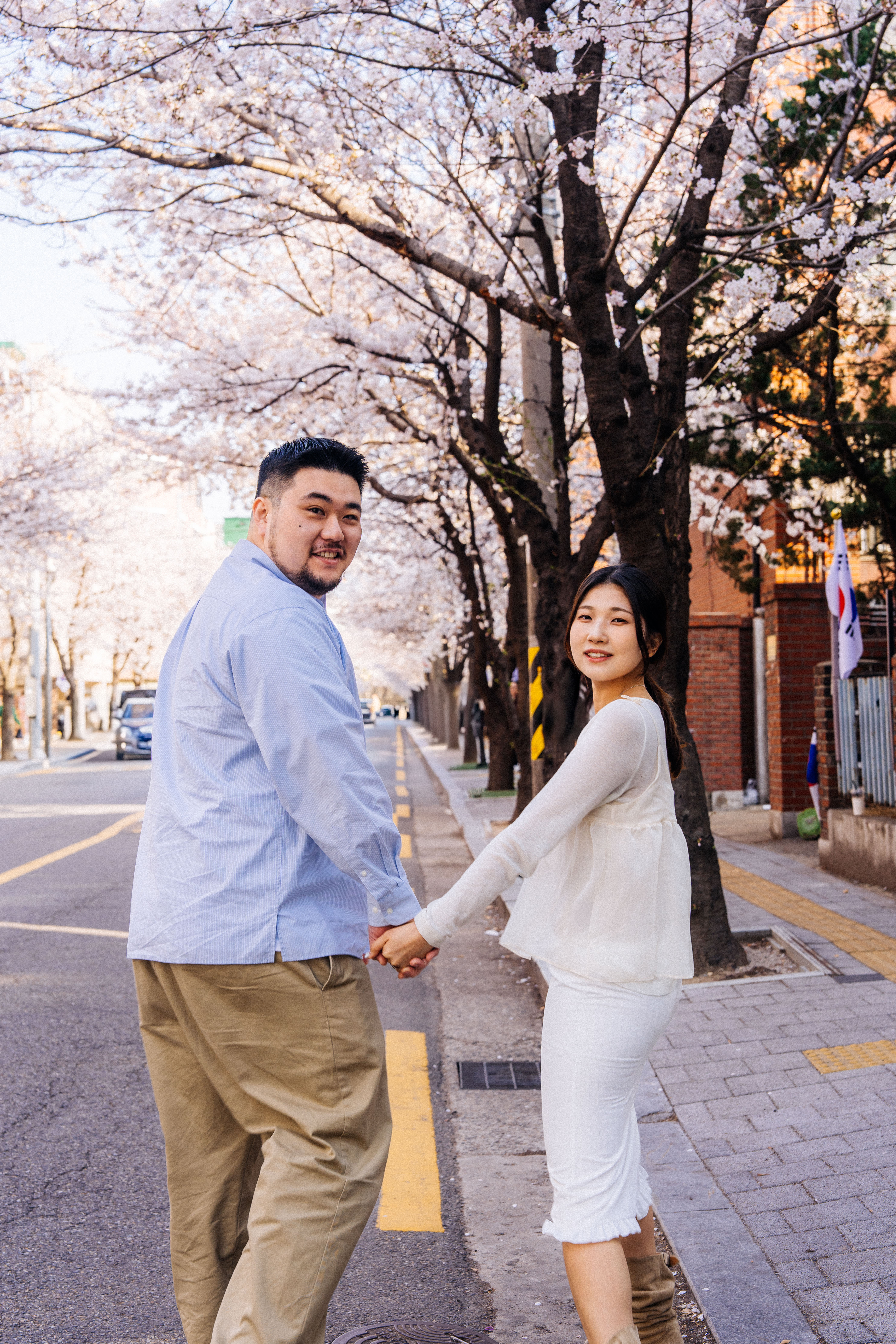 [필름커넥트] 서울 합정 벚꽃 스냅 후기 | 기념일 추천 무해한스냅