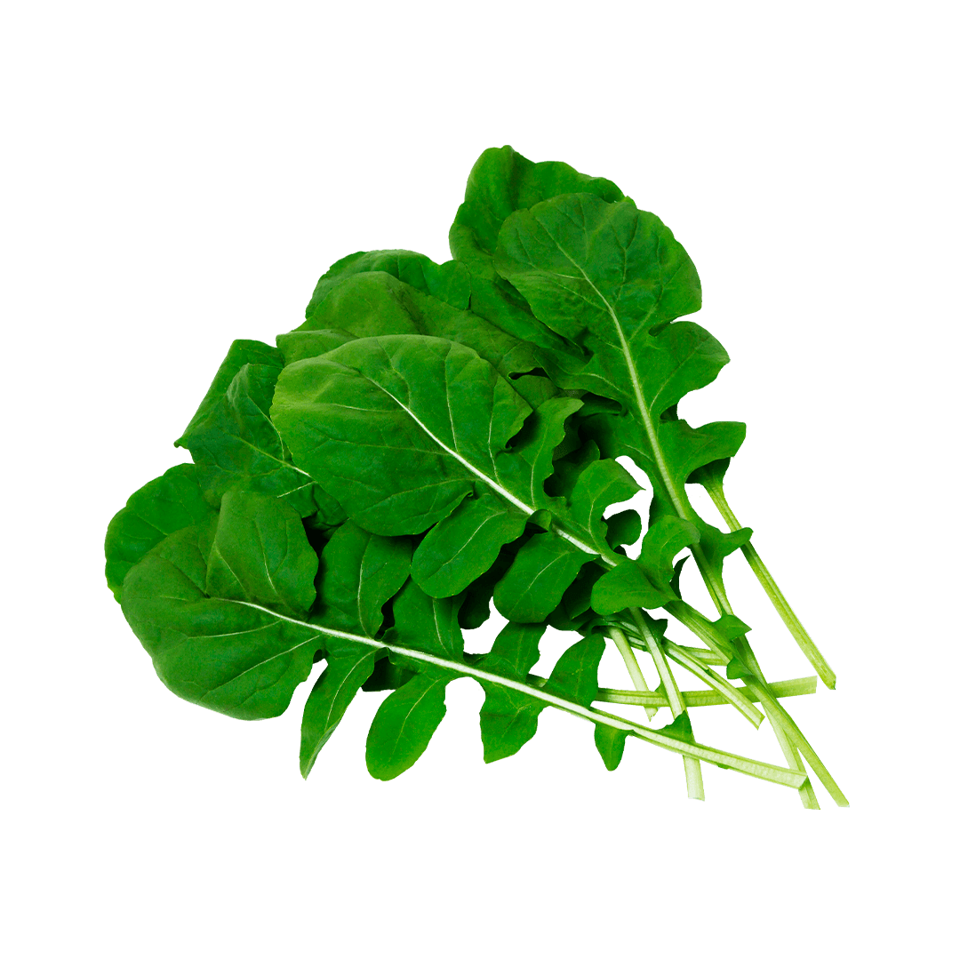 Rúcula Selecta