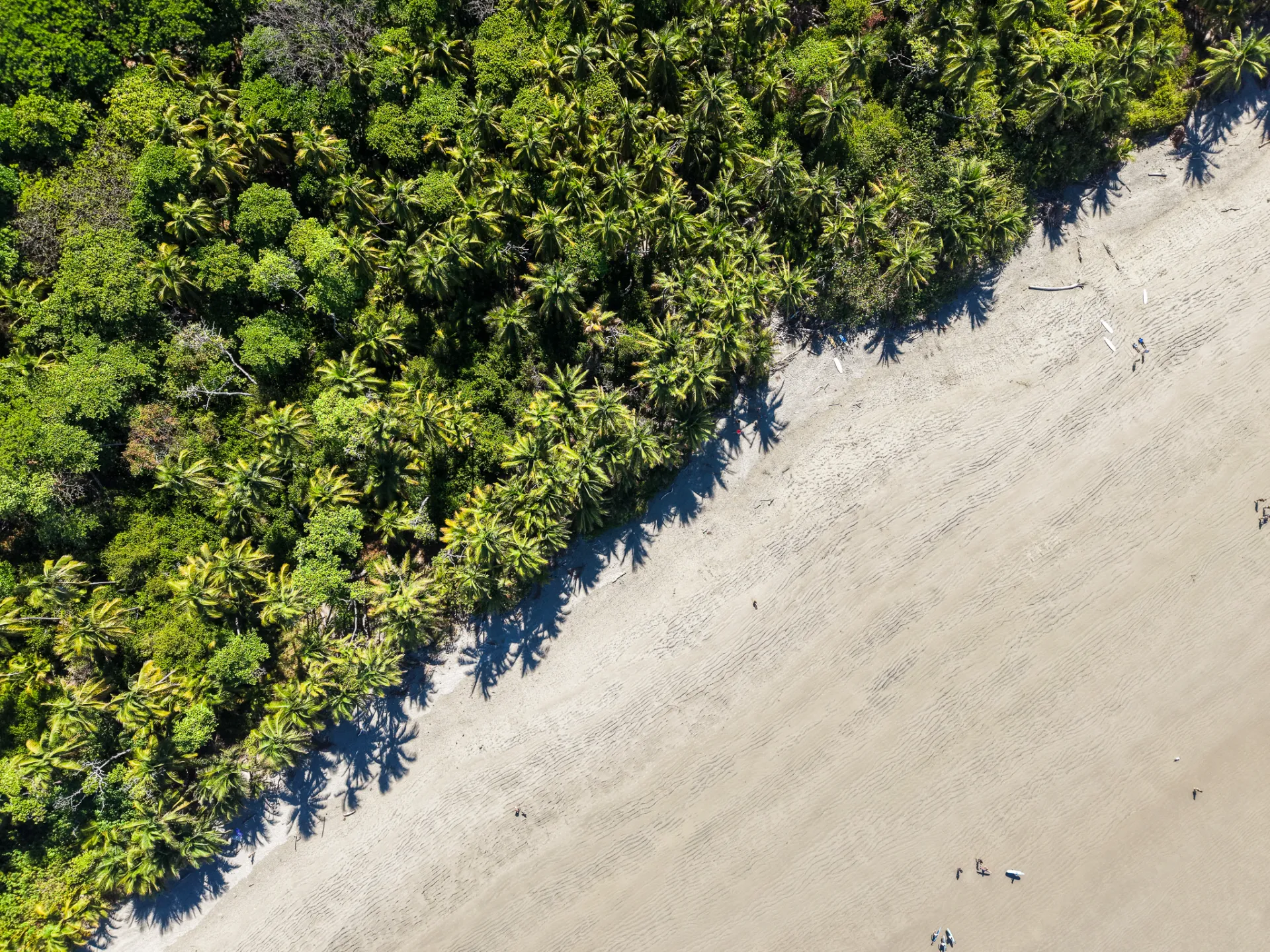Aerial view of palm trees meeting the wide sandy beach of Playa Hermosa, near Santa Teresa