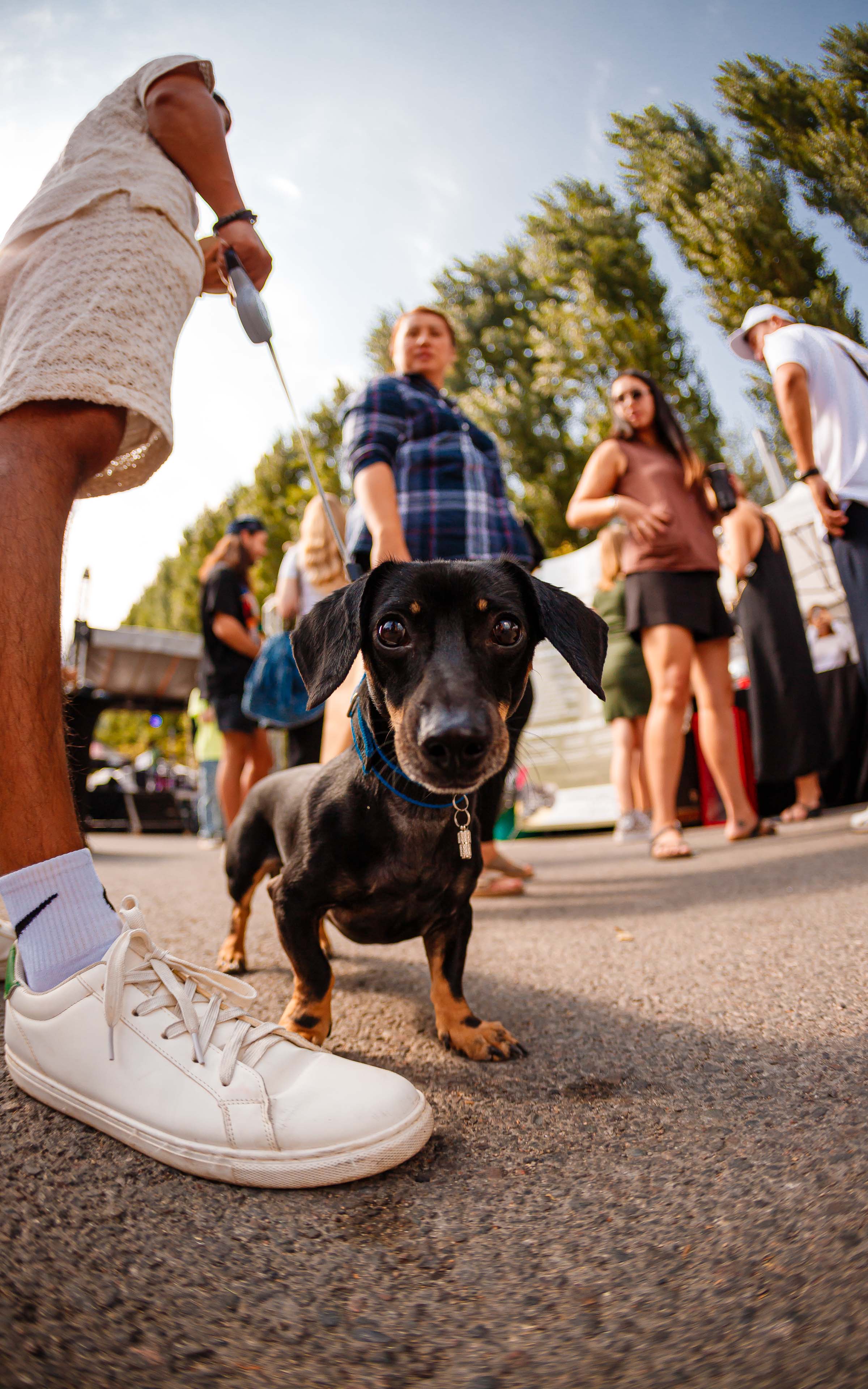 Организация мероприятий в алматы