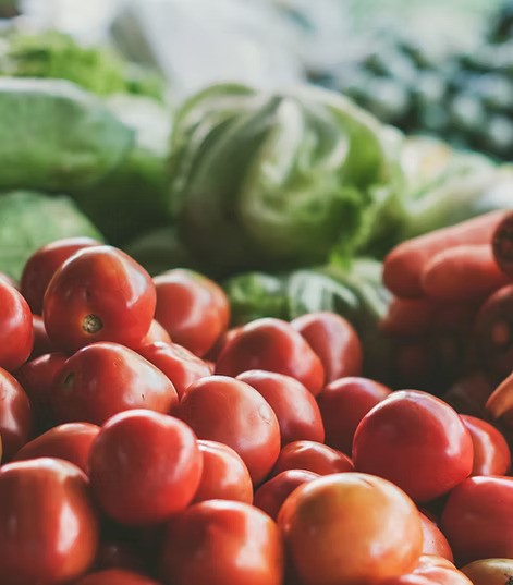 Ein Afrikanischer Elefant wirbelt Staub auf – Unterstützt durch die DAG Unternehmensgruppe im Rahmen der AMES Foundation zum Schutz bedrohter Tierarten.