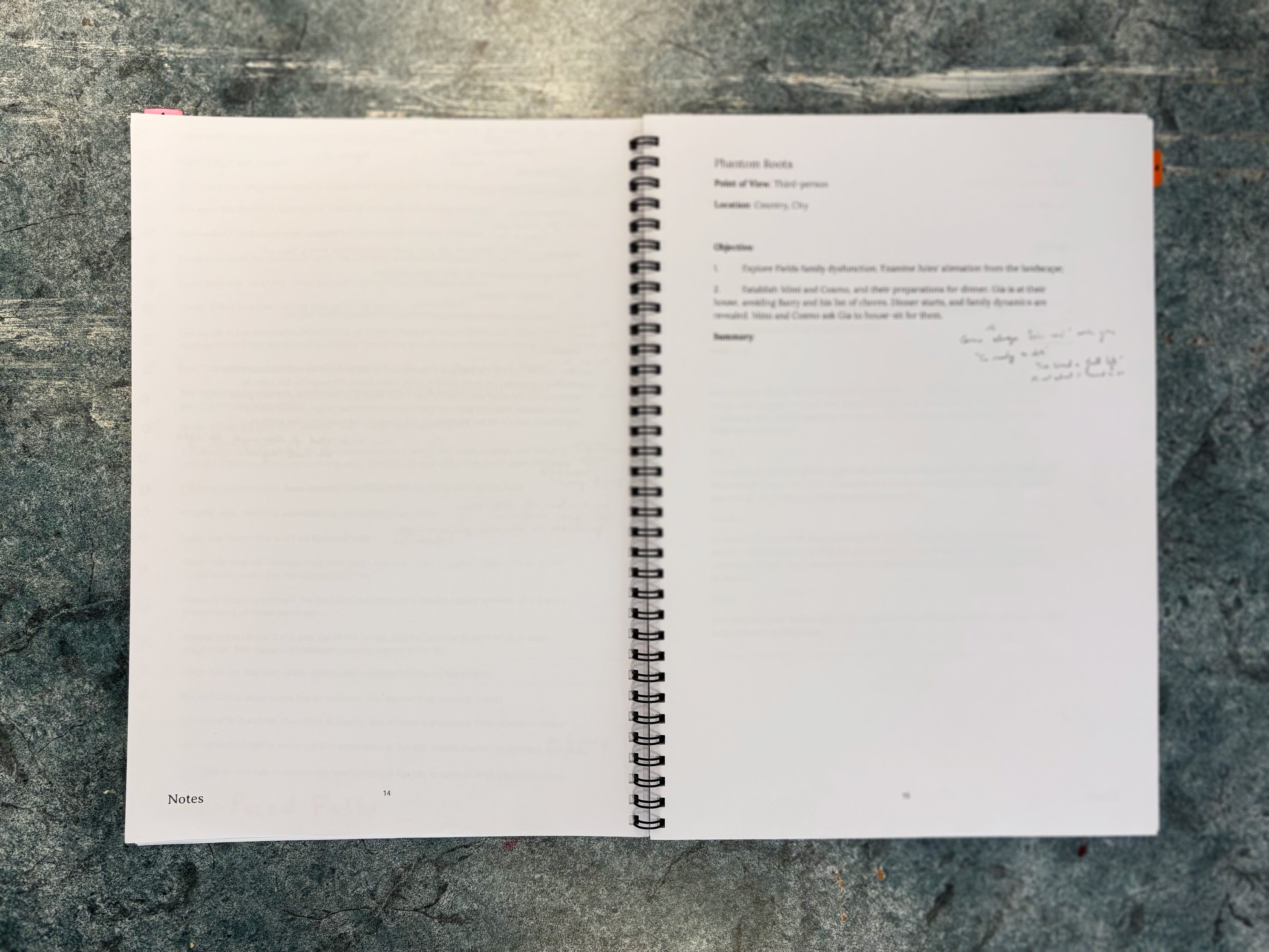 Novel Workbook Version 1