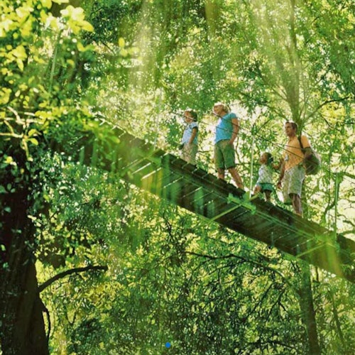 Lamington National Park, O'Reilly's & Vineyard: Day Trip from Gold Coast tickets in Natural Bridge