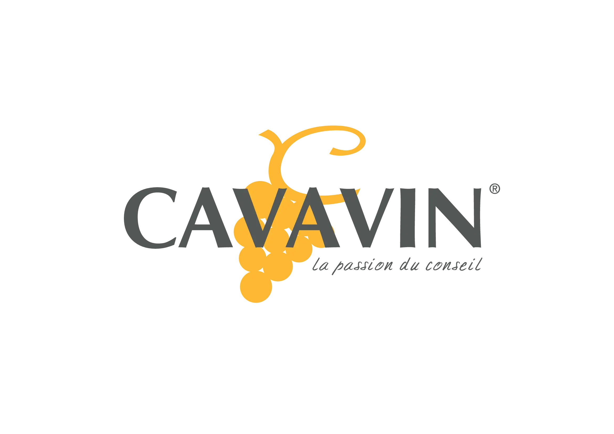 Cavavin