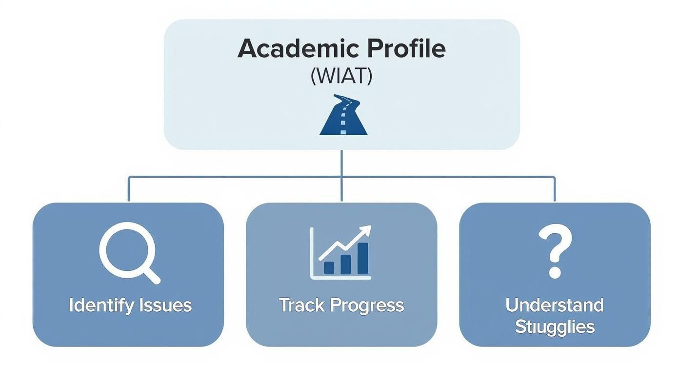 Infographic about wechsler achievement test