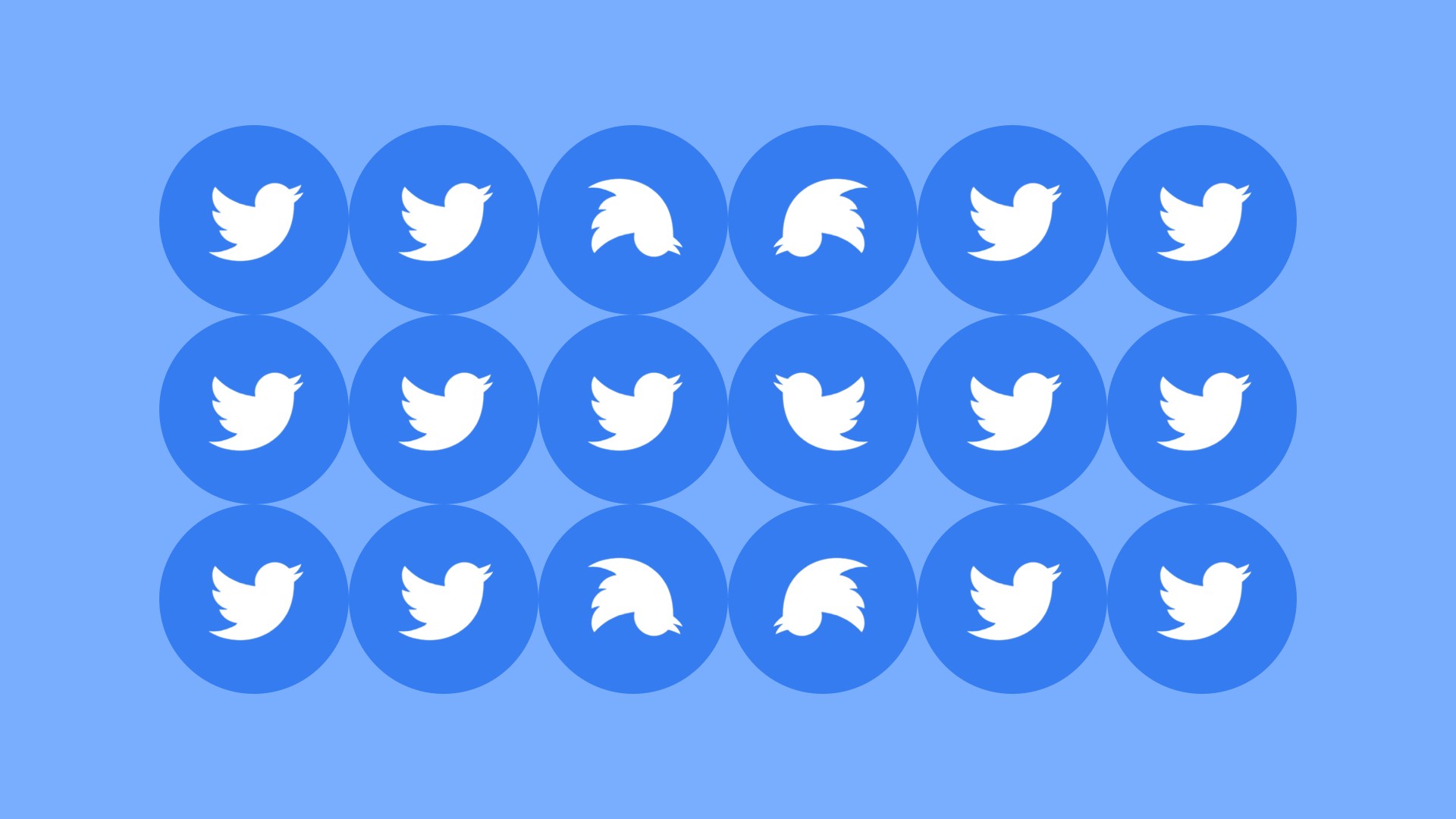 Montage of the Twitter logo