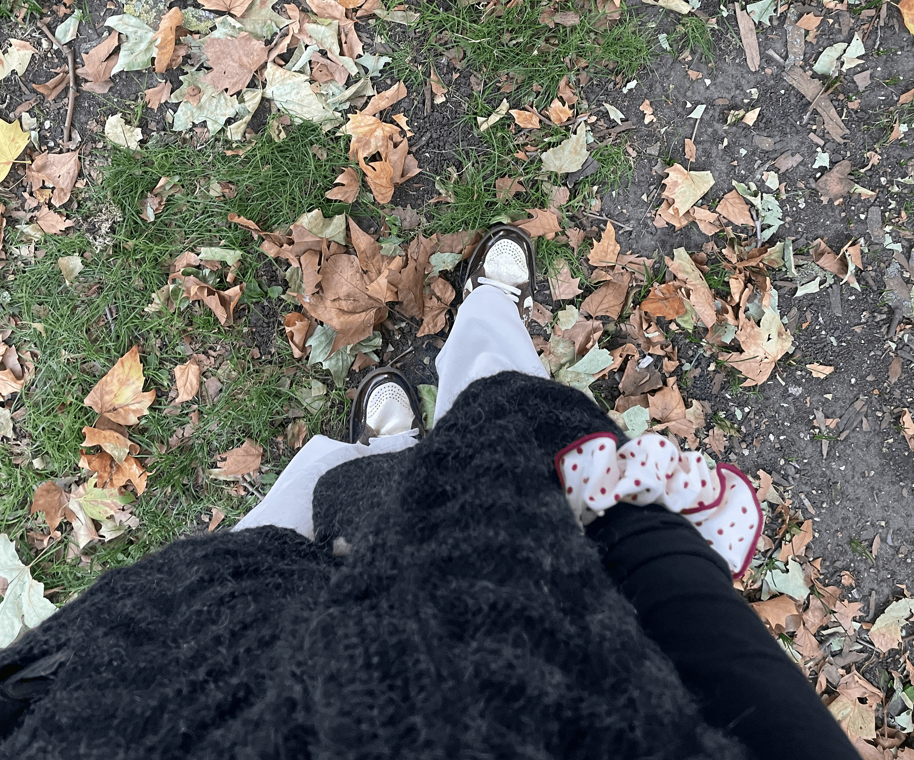 image of a group of people as a team