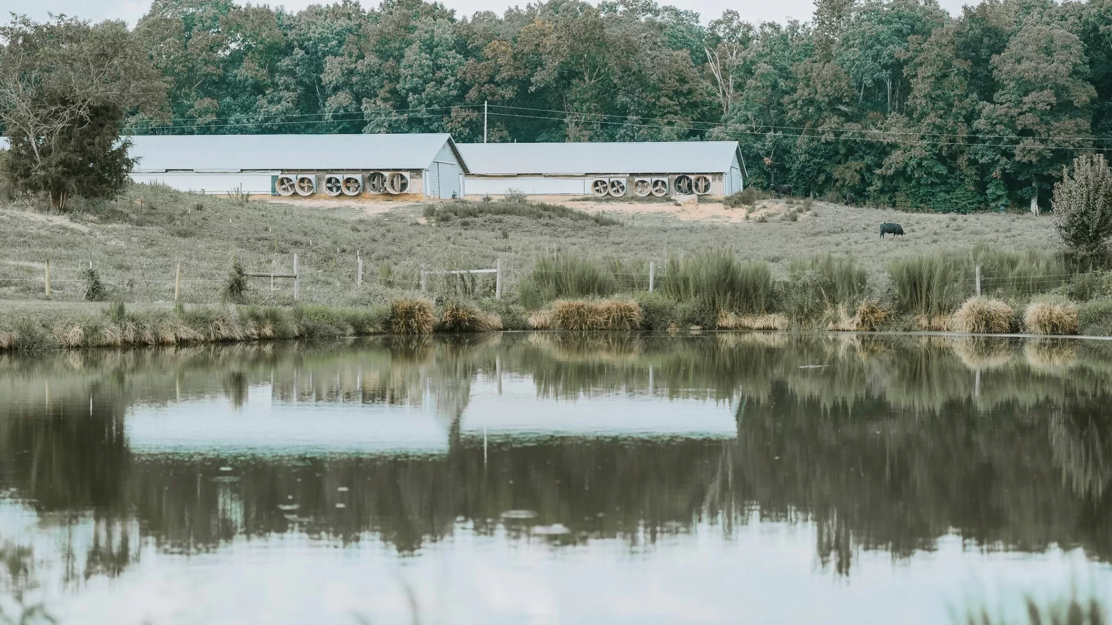 Countryside Solar Portfolio