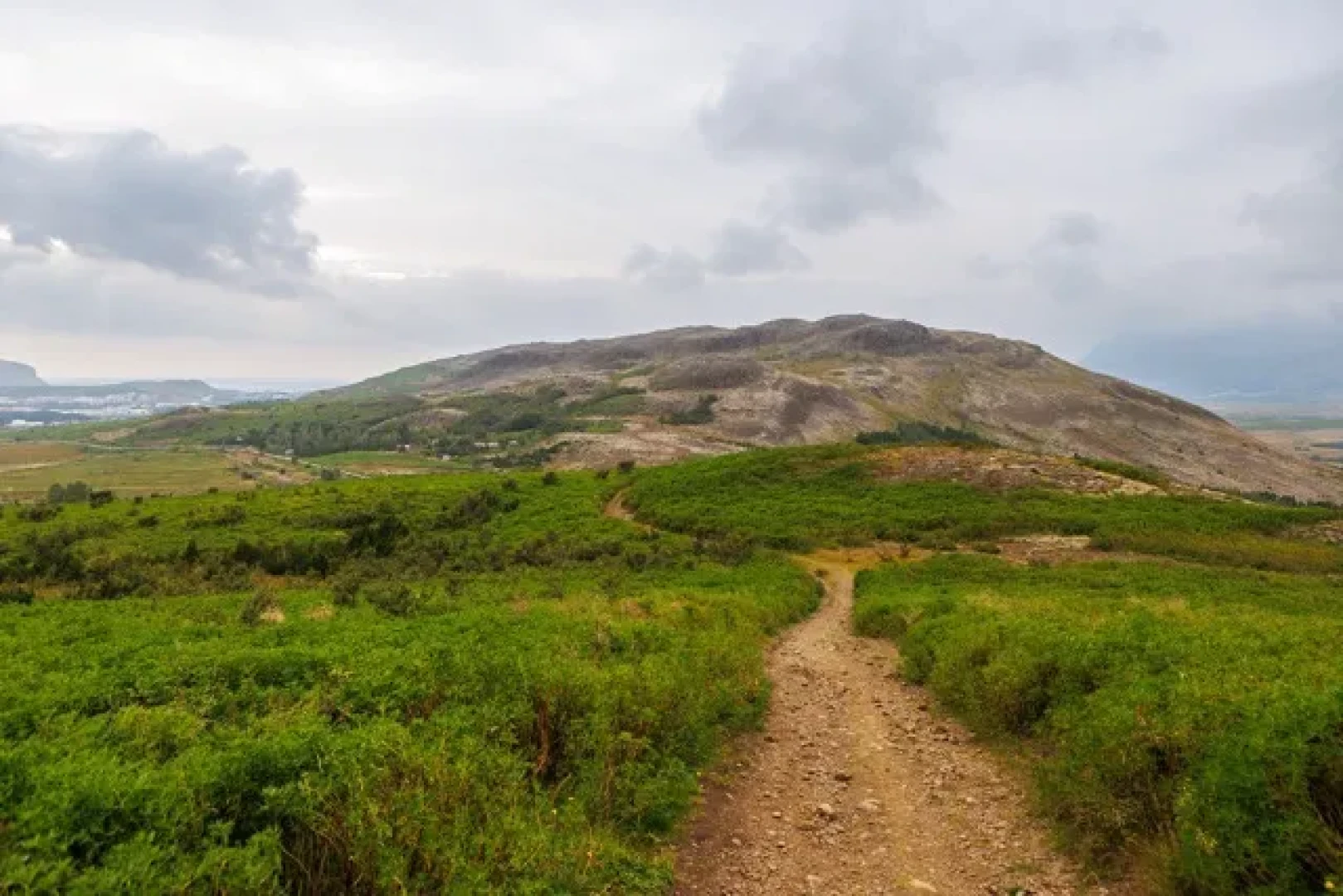 Wide easy bike trail towards a small mountain