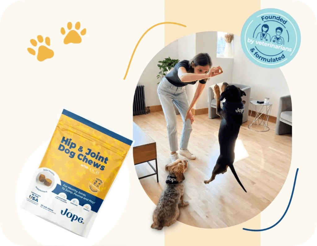 woman training her dog by giving pet treats