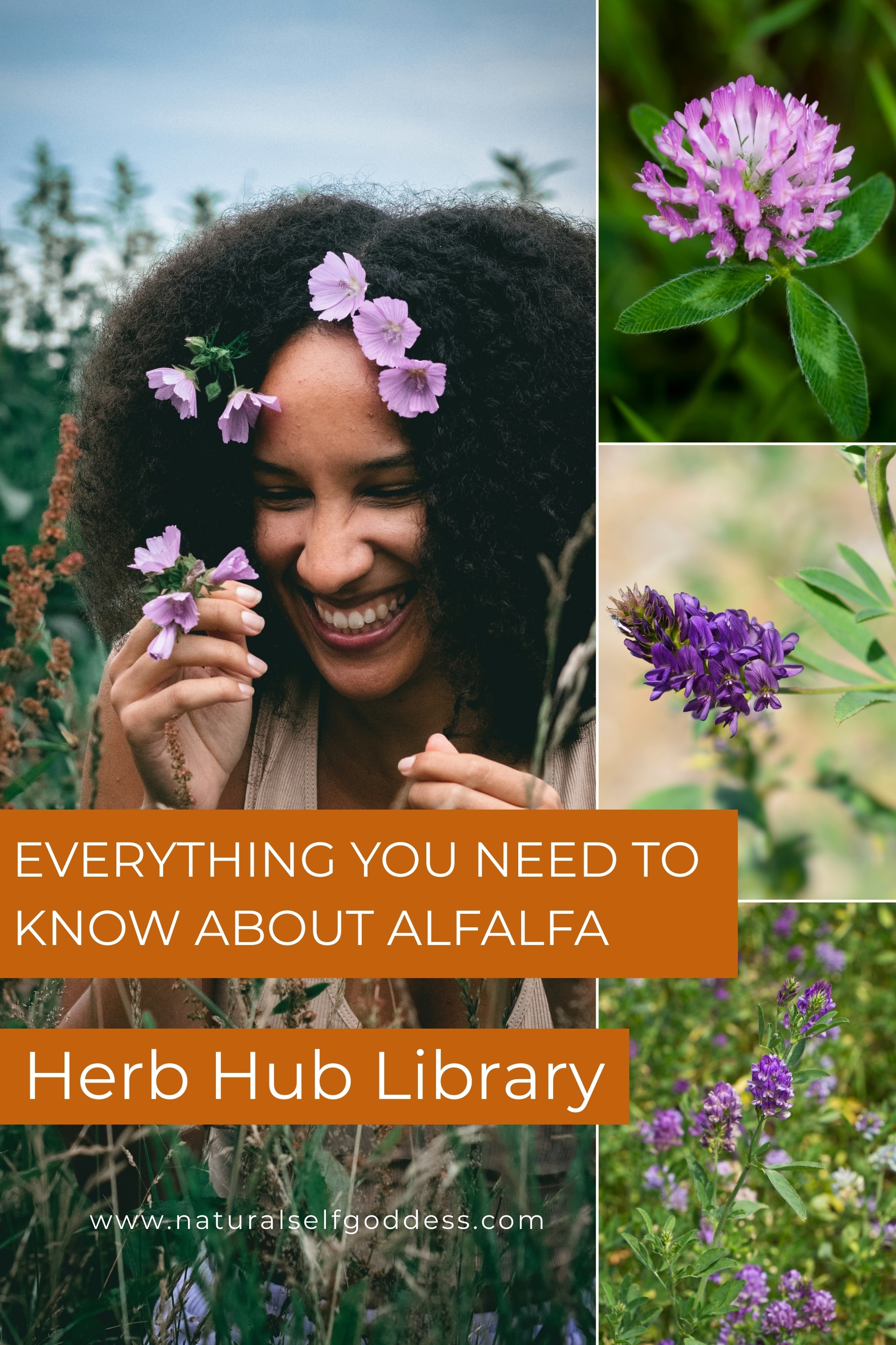 Pinterest Board and Pins