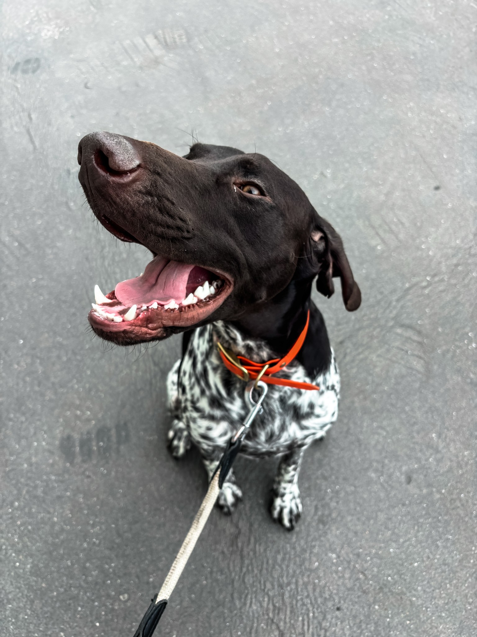 The image featured at the top of the about us page #1