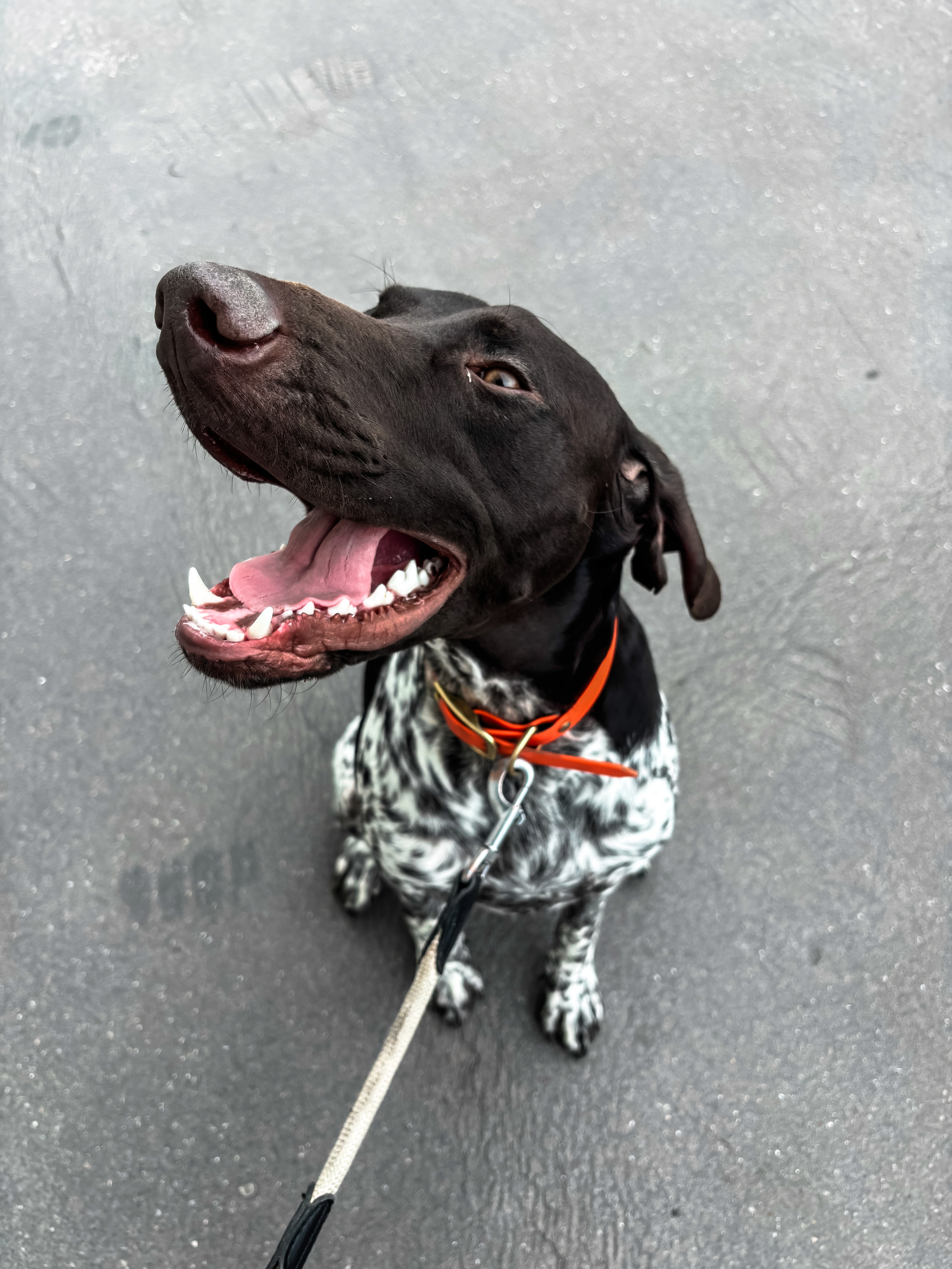 The image featured at the top of the about us page #1