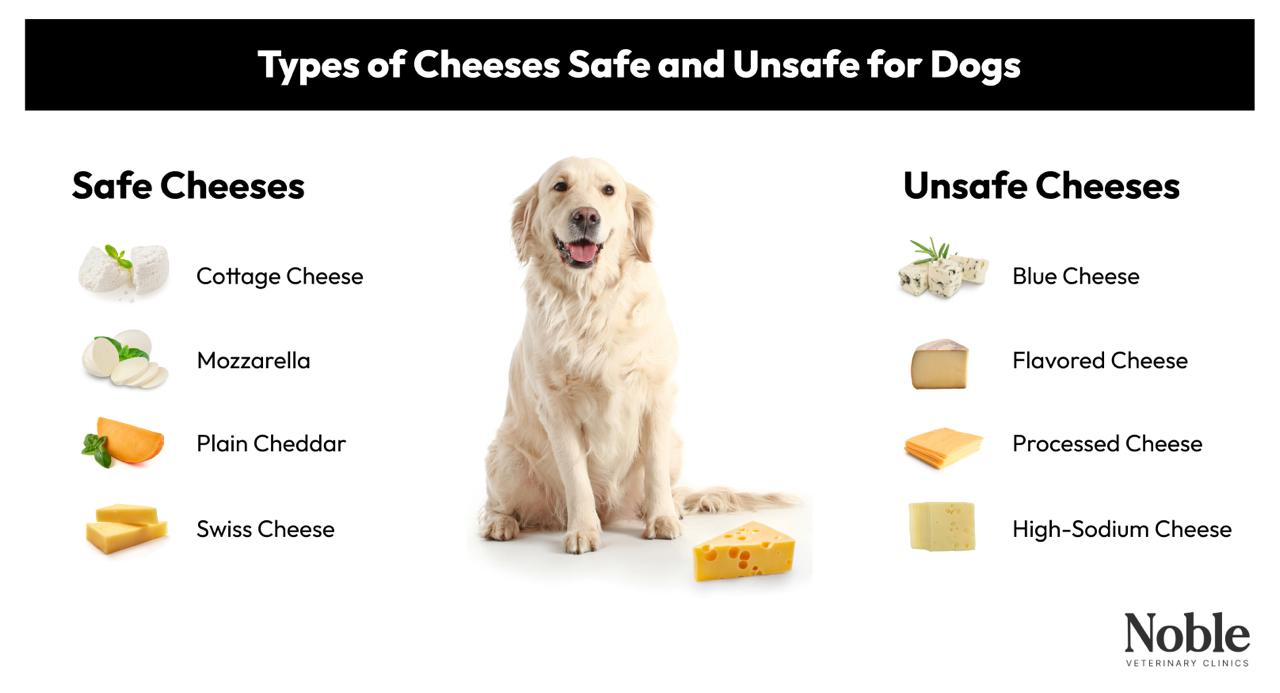 Types of Cheese: Safe vs. Unsafe