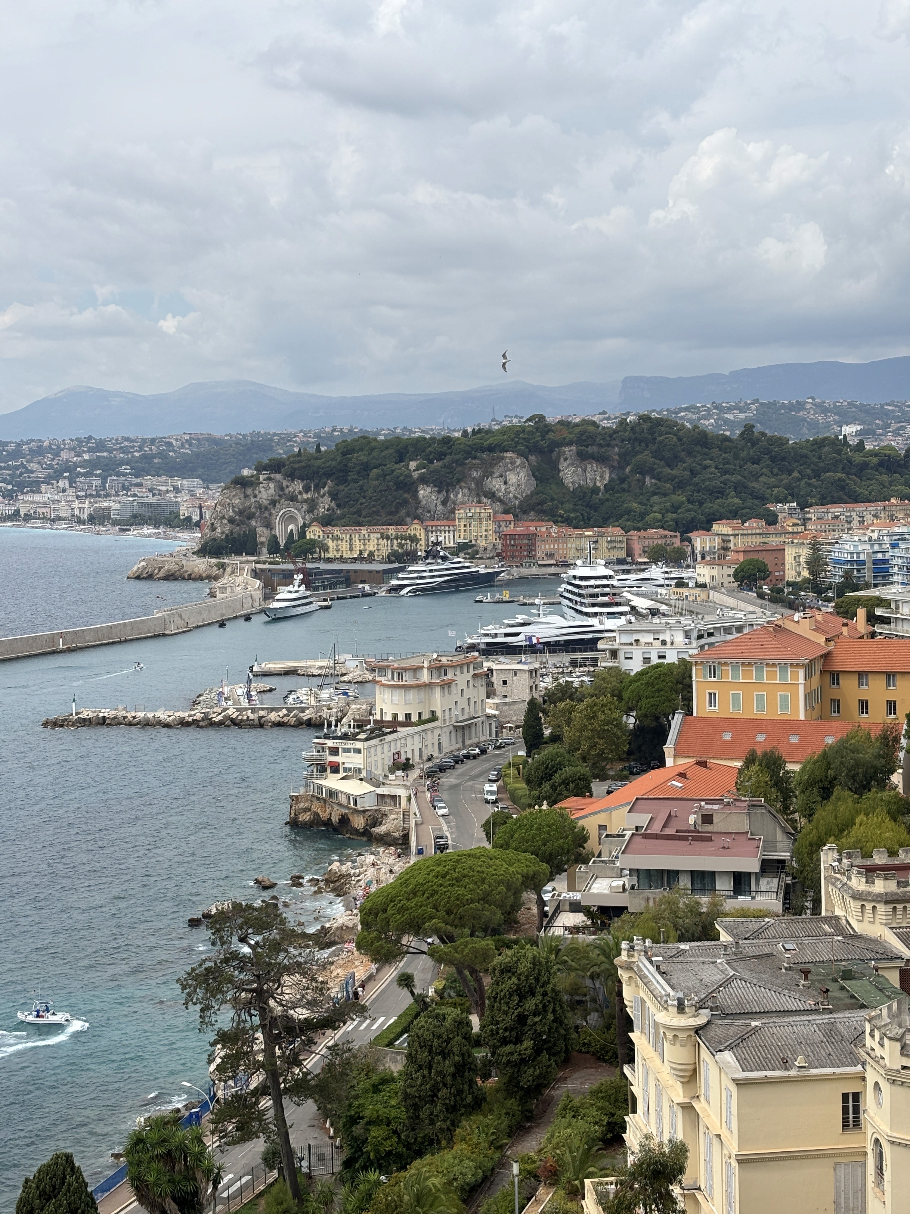 nfinity pool blending into the ocean view, minimalist sun loungers in soft neutral fabric, curved architecture