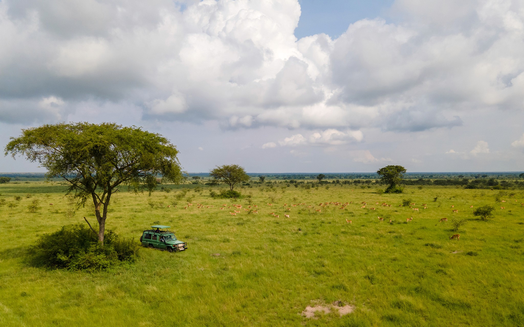 The exclusivity of the wet season - No crowds on sightings