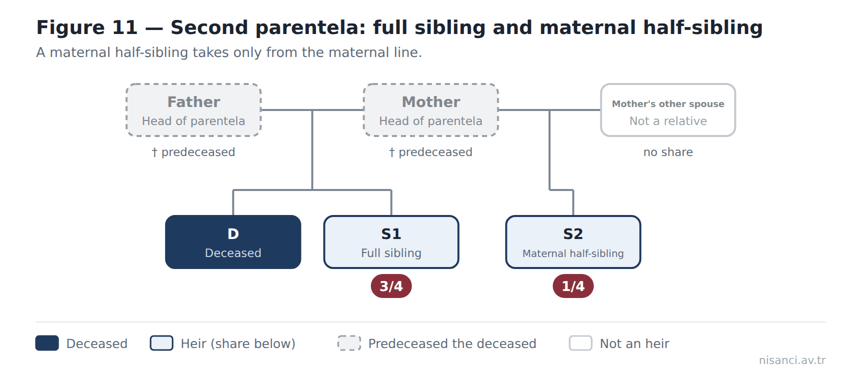 Figure 11 — Second parentela: full sibling and maternal half-sibling