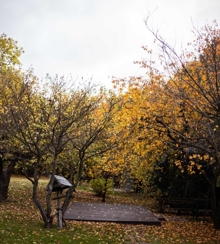 Jesienny, przestronny ogród w Villa Stara Apteka w Srebrnej Górze.