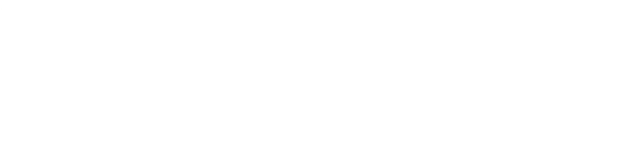Noelse Logo