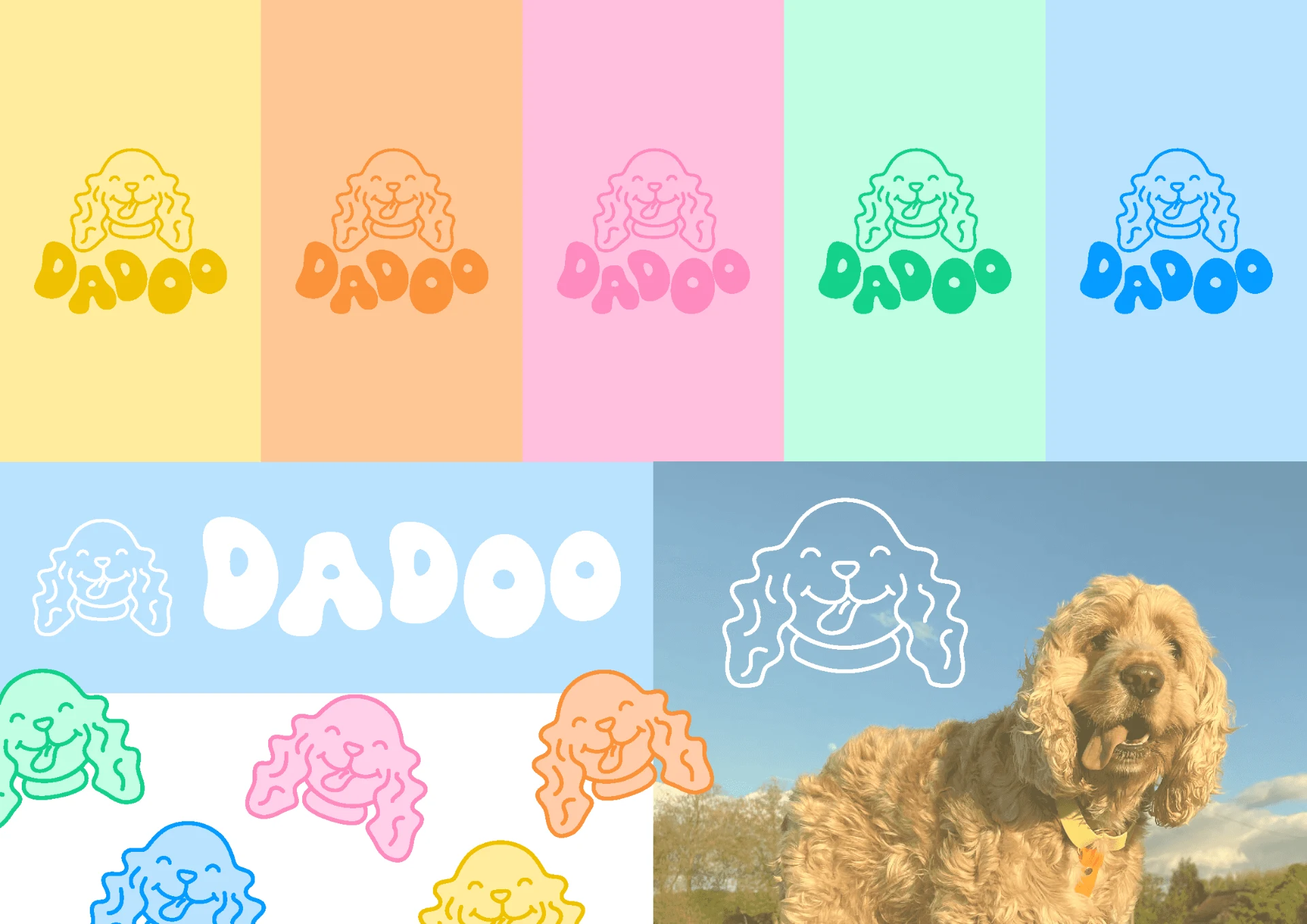 Identité visuelle Dadoo, marque artisanale d'accessoires colorés et personnalisés pour chiens