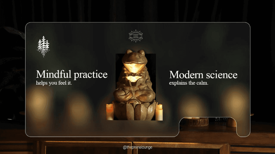 Mindful practice helps you feel it. Modern Science explains the calm cover photo.