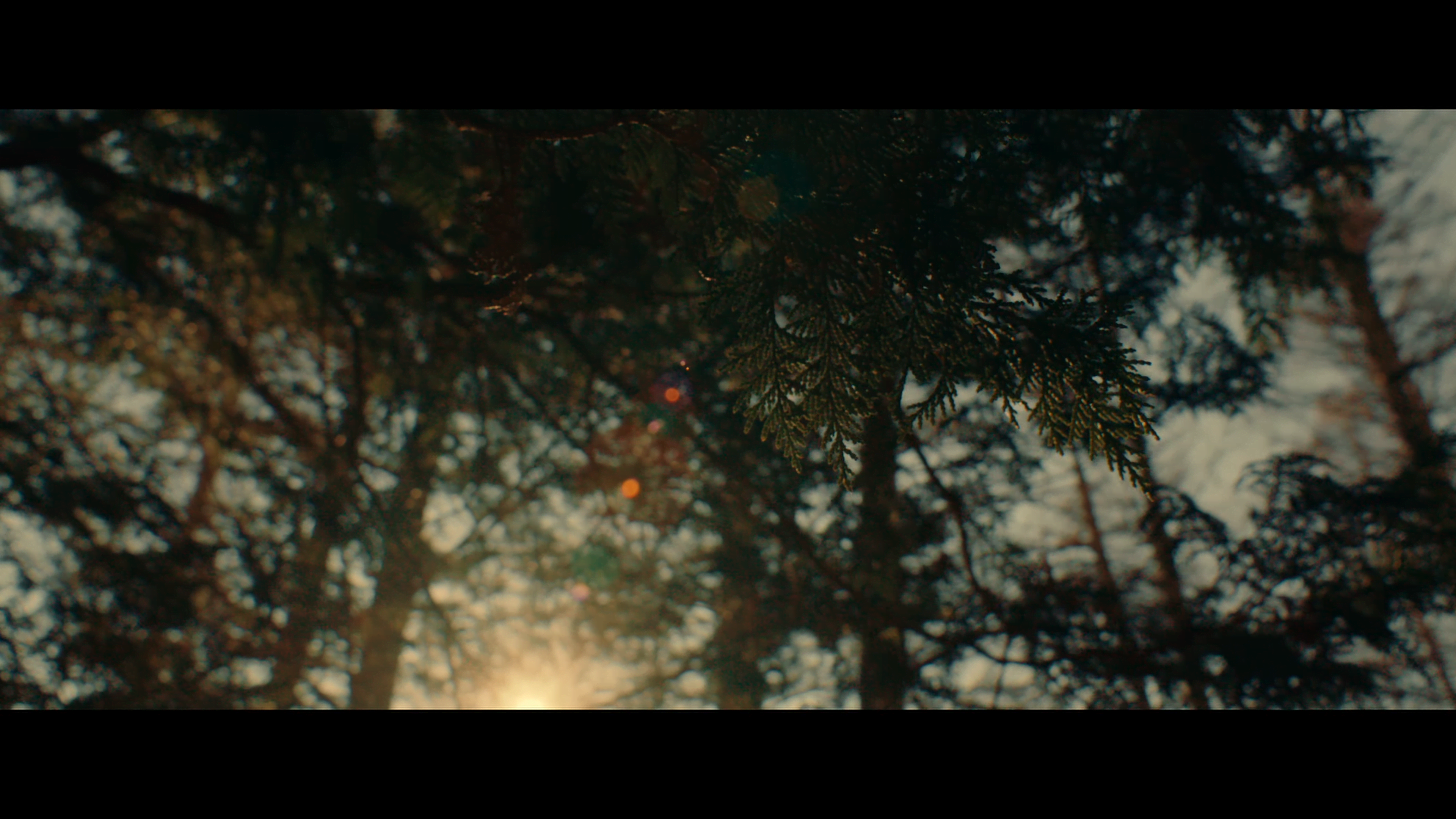 Karuizawa Documentary | David Hewett | by DMBZ Tokyo Video Production 