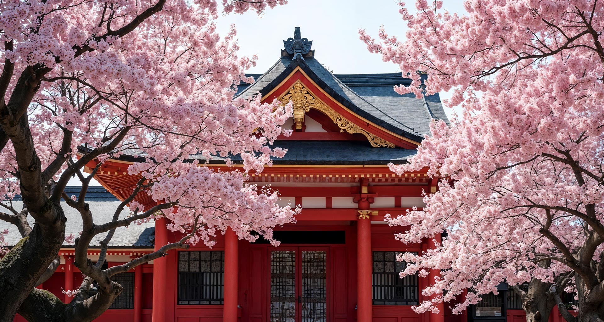Tour Image