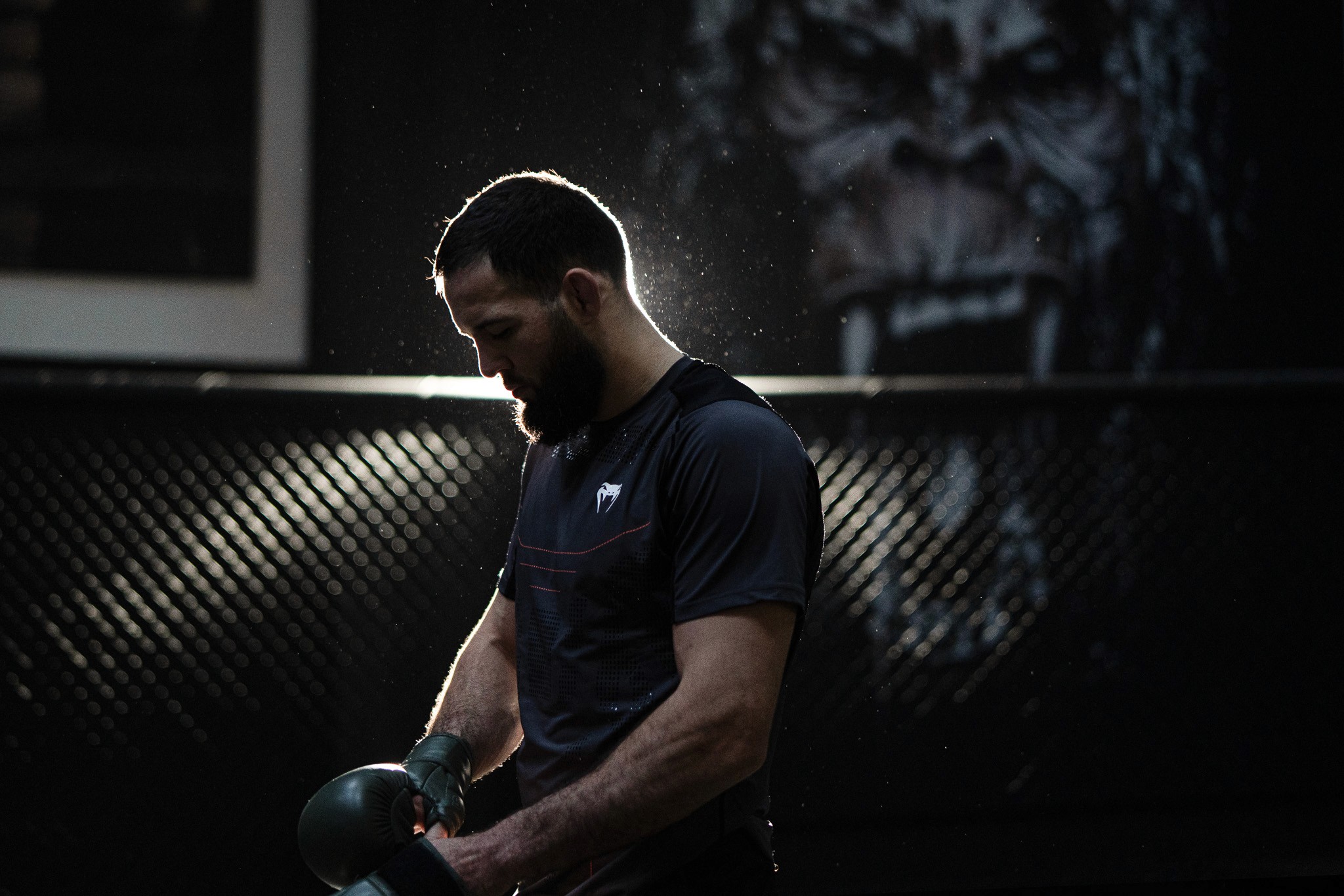 Fleur, Ortie, Photo de studio, Noir et blanc, pierretmae