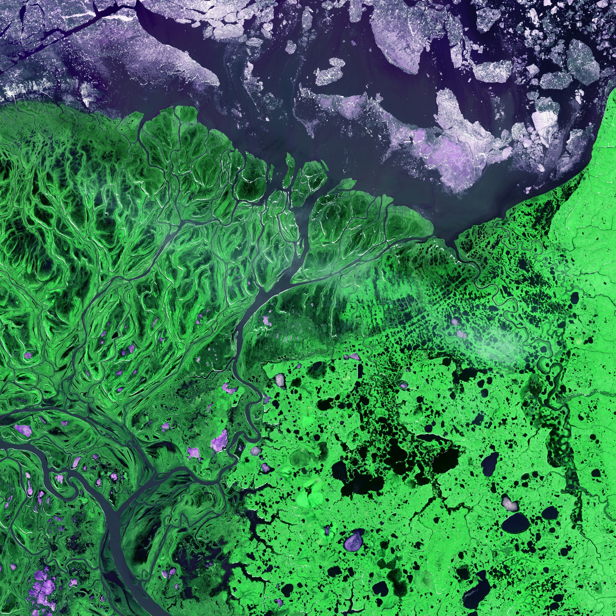 Solar America - Solar Reviews