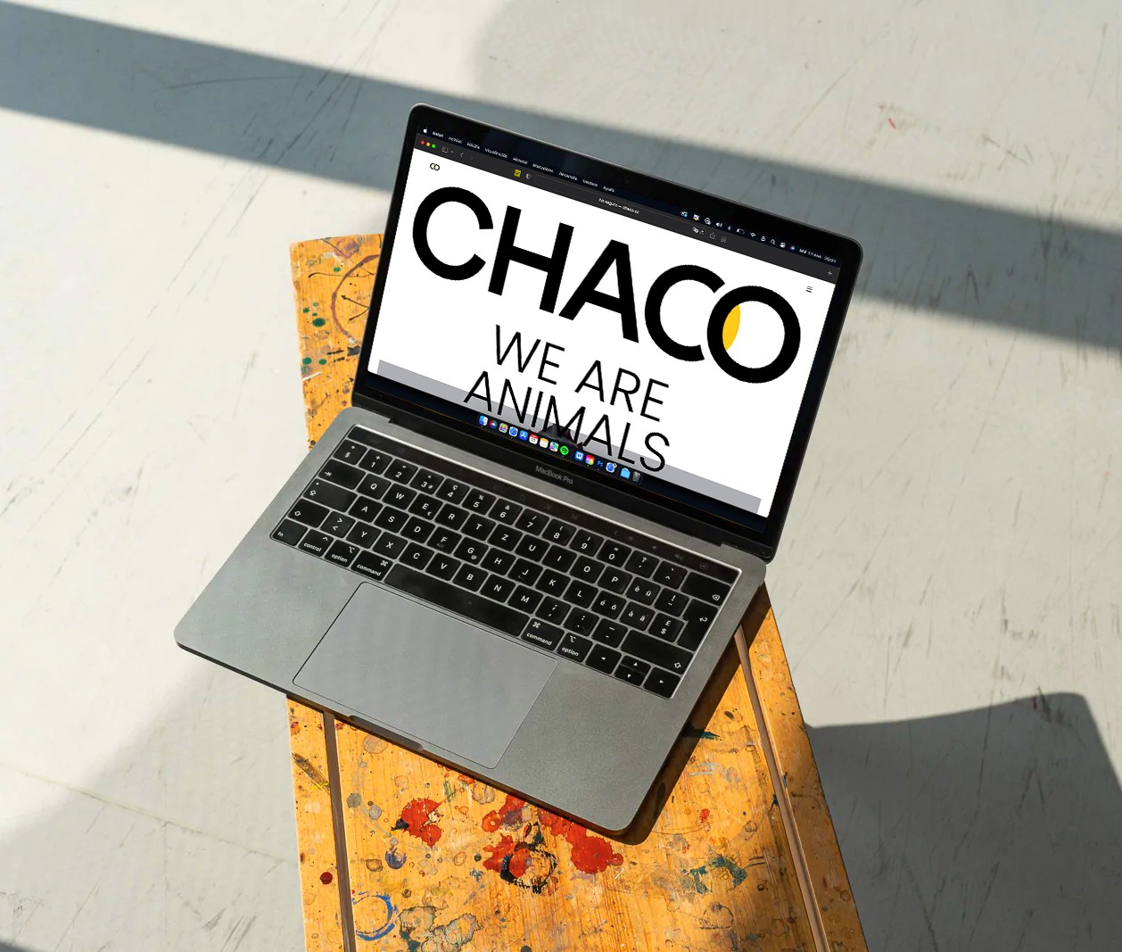 Chaco
