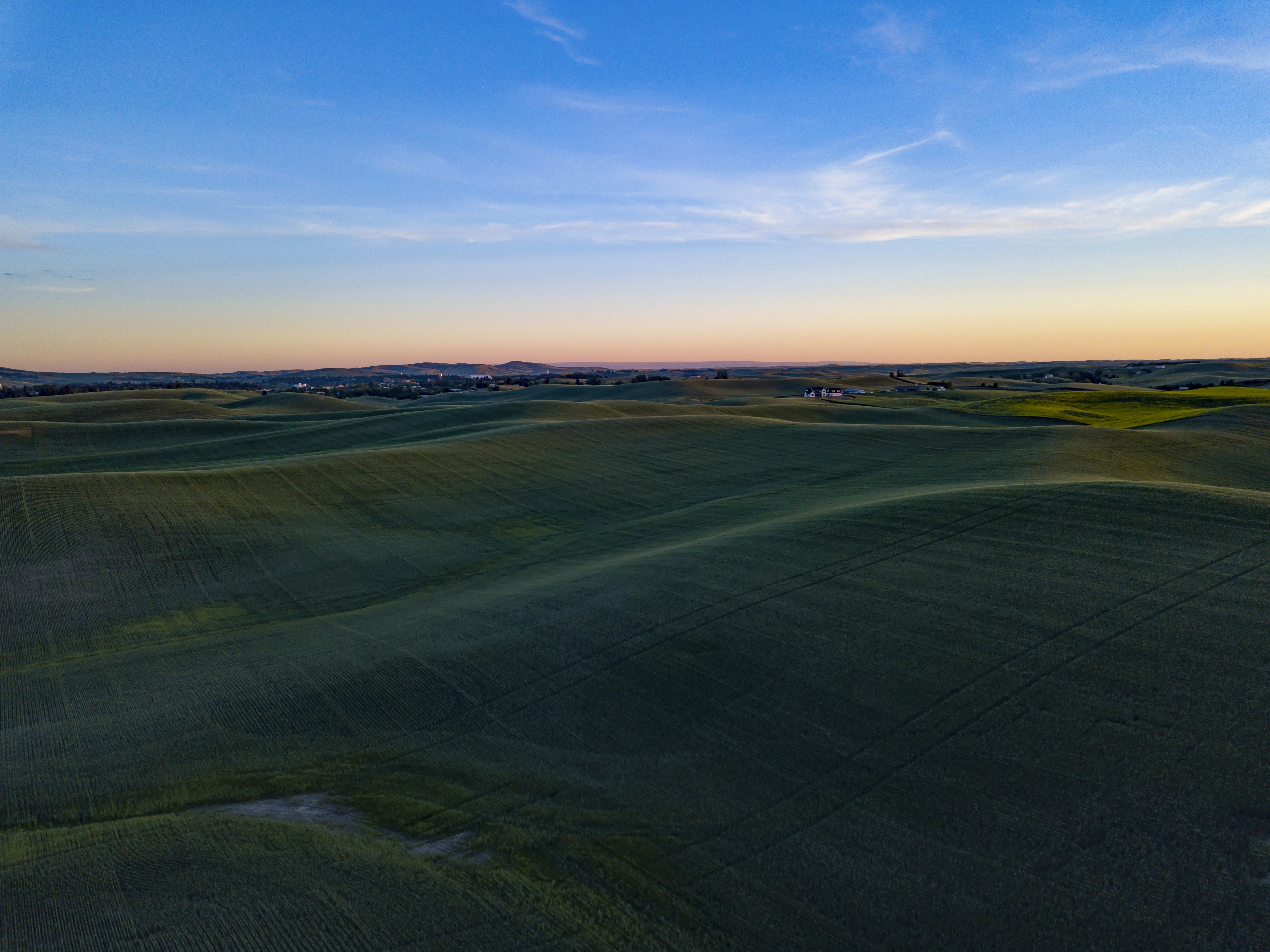 people sitting on chair in front of laptop computers