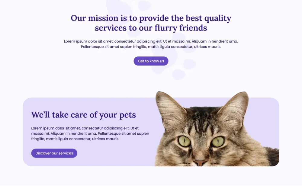 Pet Care Website Design