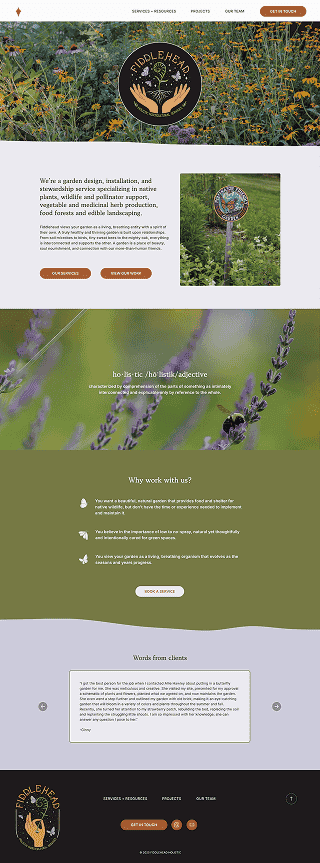 The redesign of the homepage