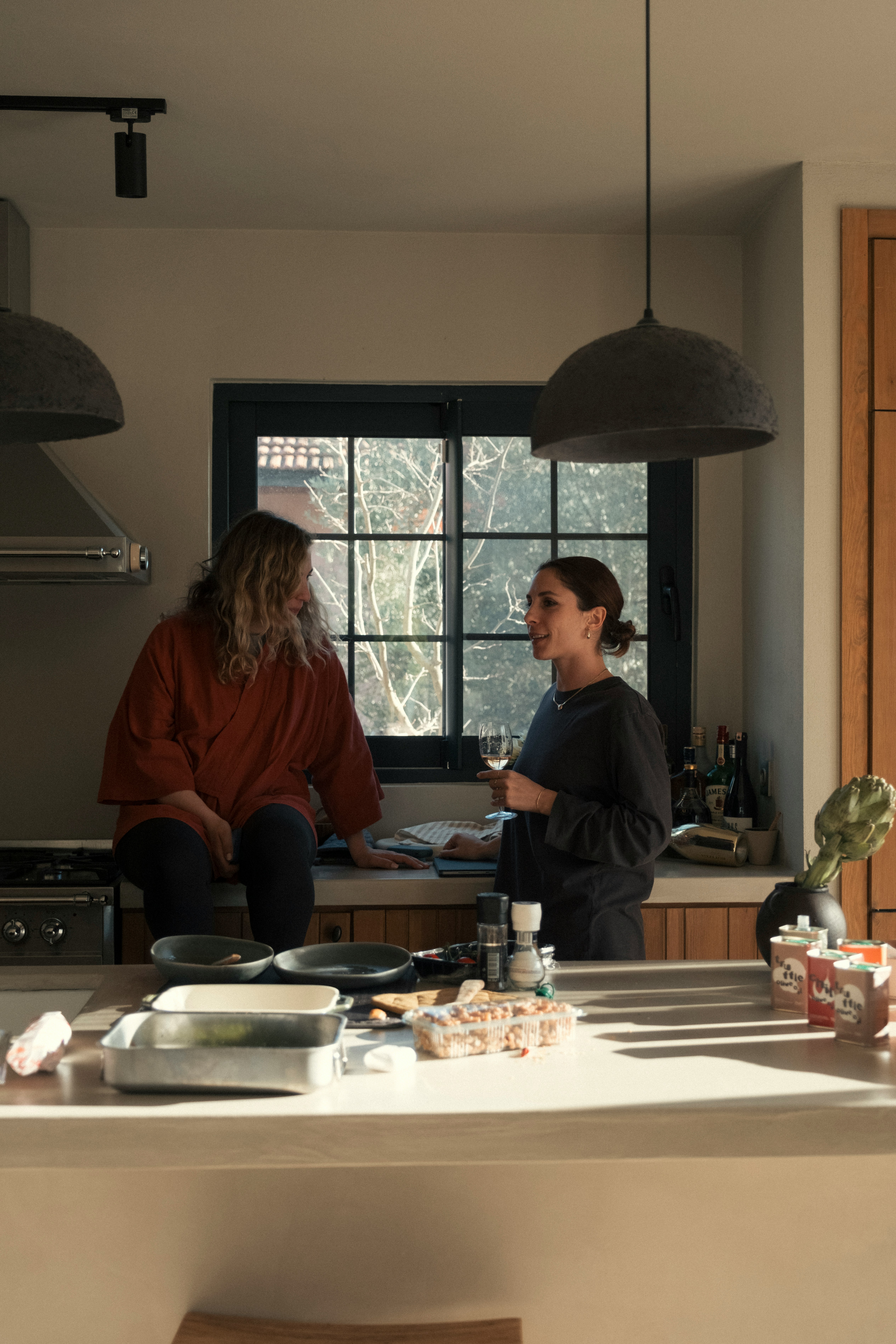 Two women talking in a modern kitchen.
