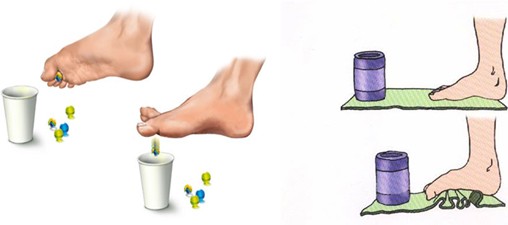 Schema-exercices des pieds