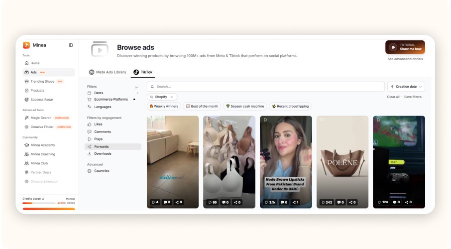 Interface Minea affichant bibliothèque publicités TikTok et produits tendance.