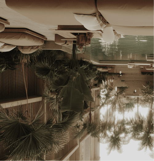 Golden Bloom Lodge