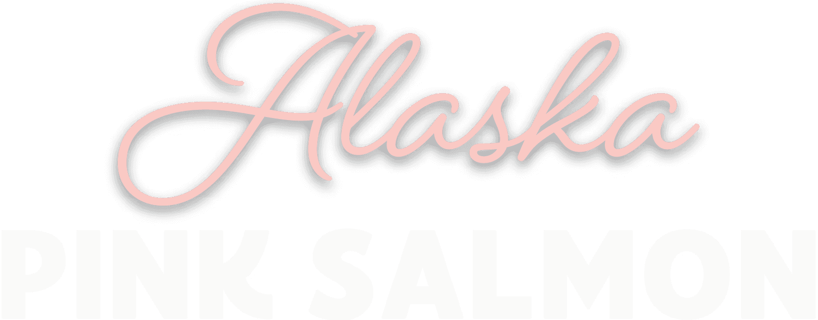 alaska pink salmon