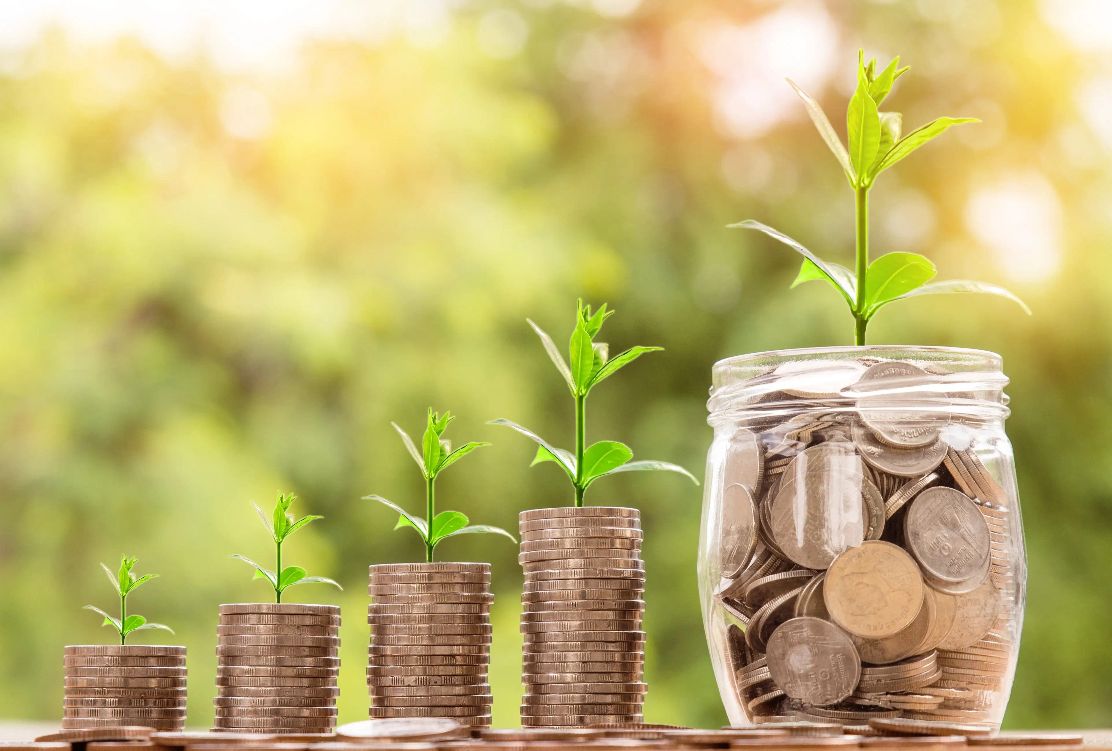 gestion de inversiones, planificacion con asesoramiento