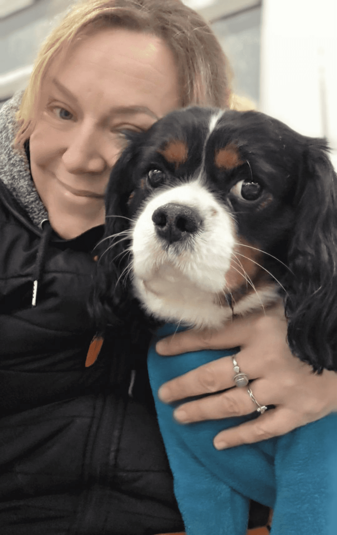 Image of a white dog