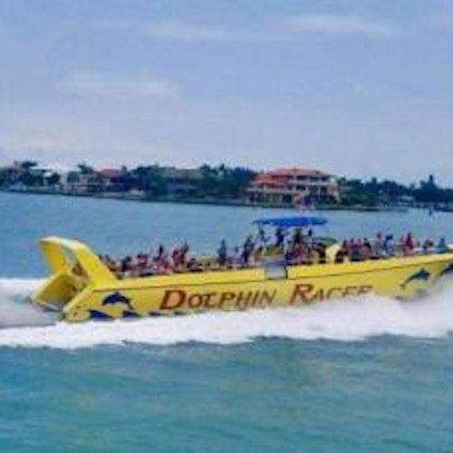Ride the speedboat into the Gulf of Mexico