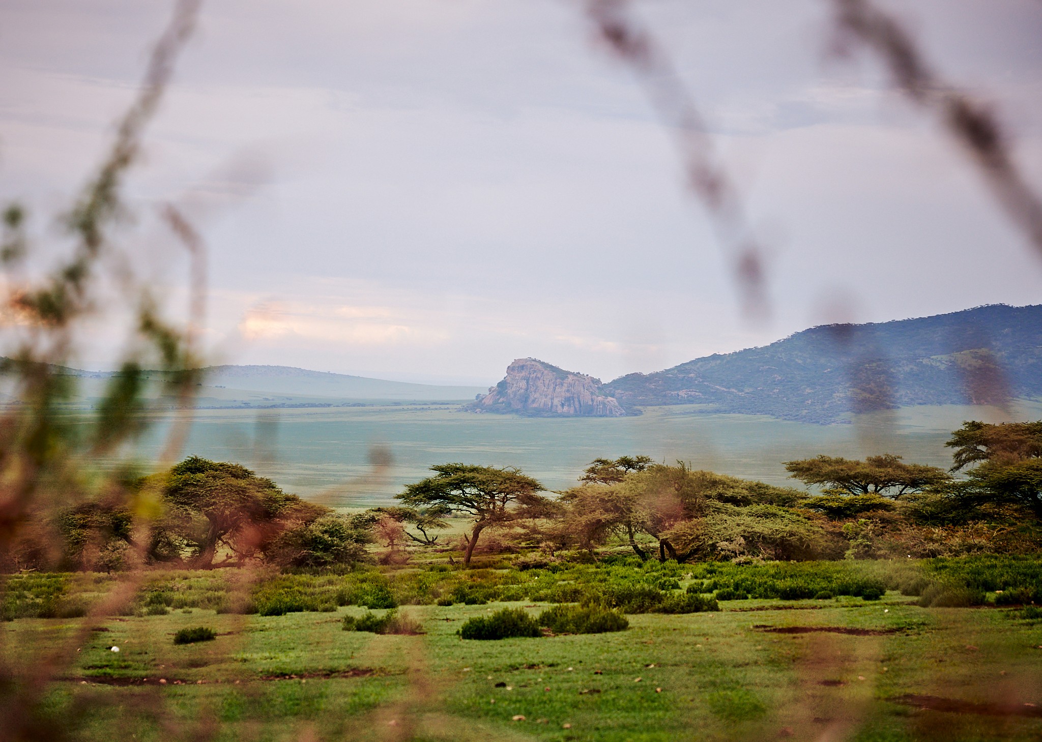 Grupp av ryttare på ridresa i Afrika galopperar över Serengetis vidsträckta slätter medan damm och gnuhjordar rör sig över horisonten under the great migration.