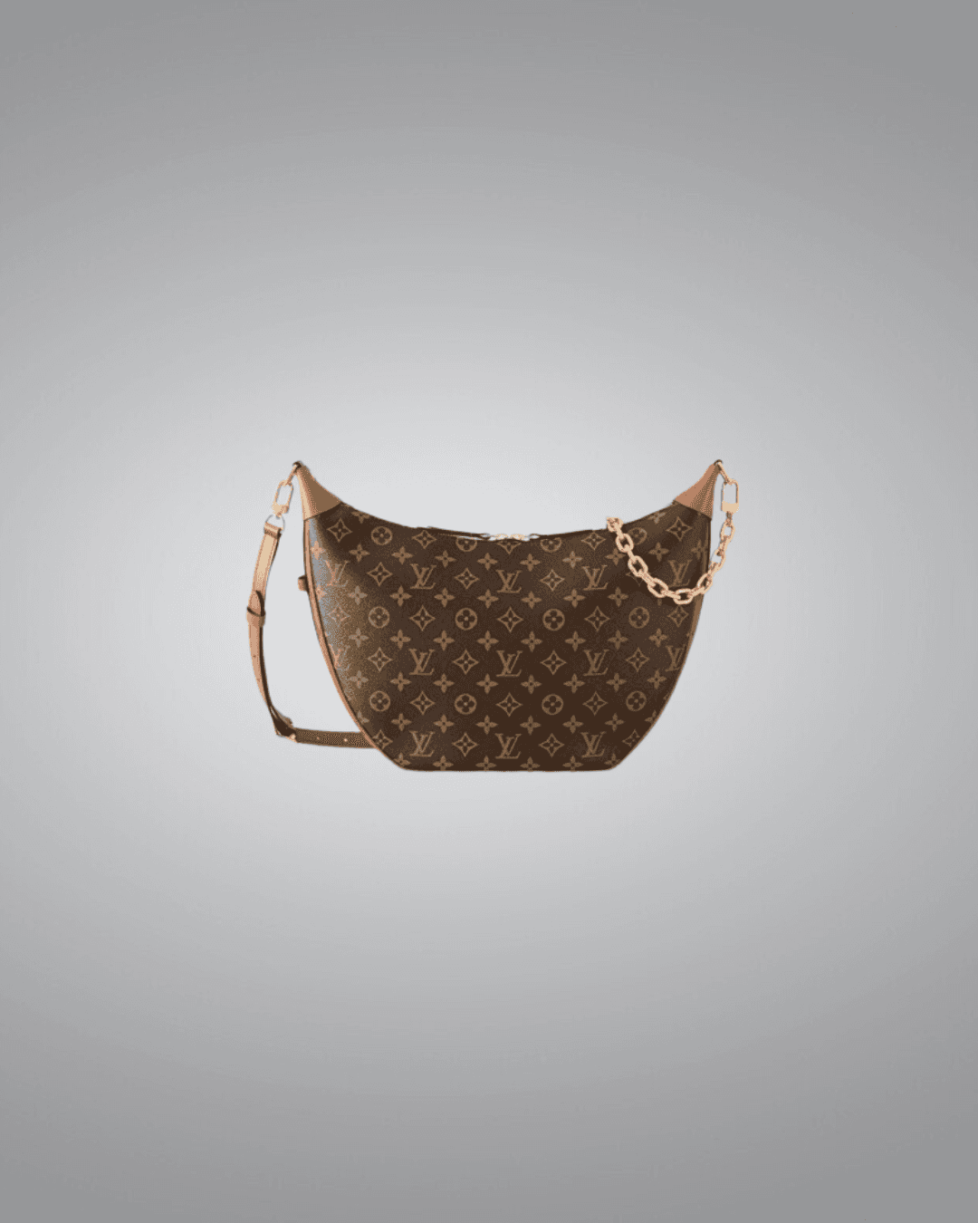 LV Loop Hobo Bag