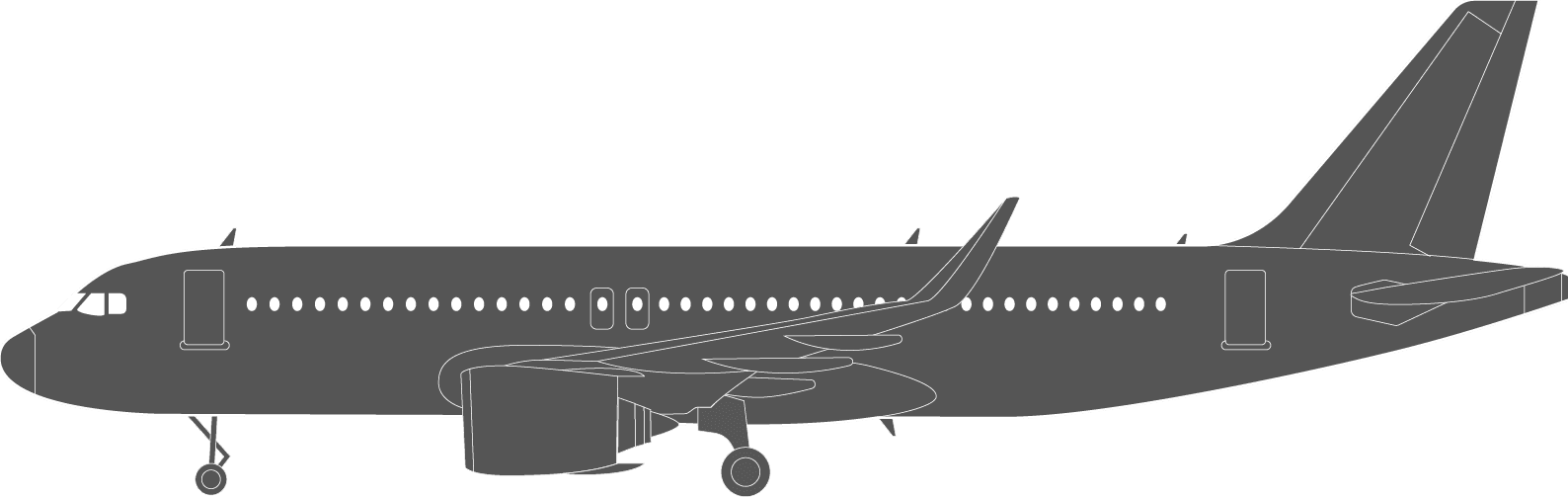 Airbus ACJ319 Icon