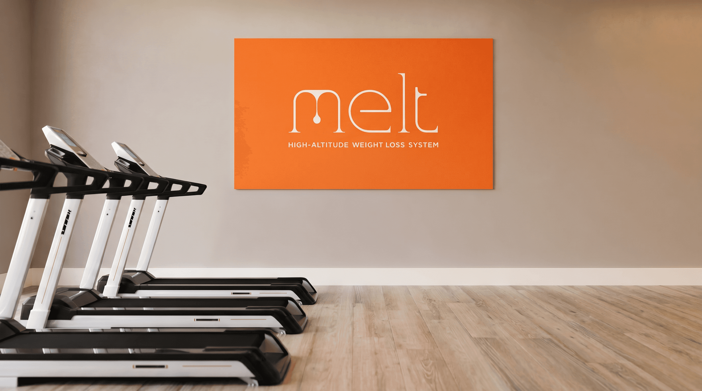Melt Fitness | Branding